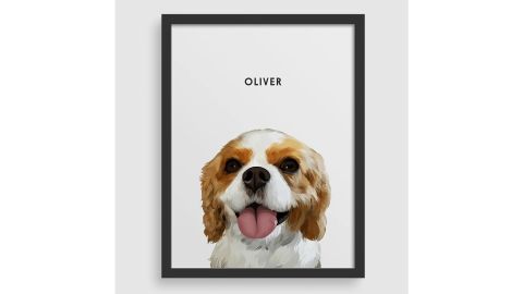 Pet Portrait