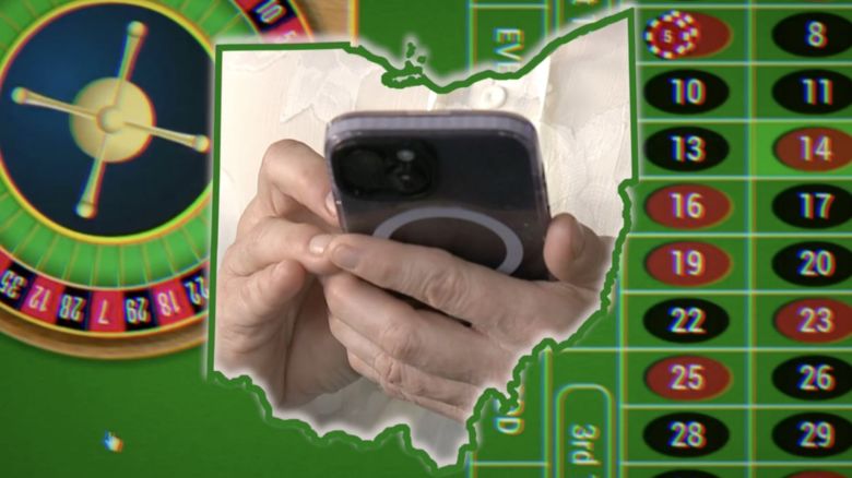 WEWS MI woman lost money internet gambling 070125 resized.jpg