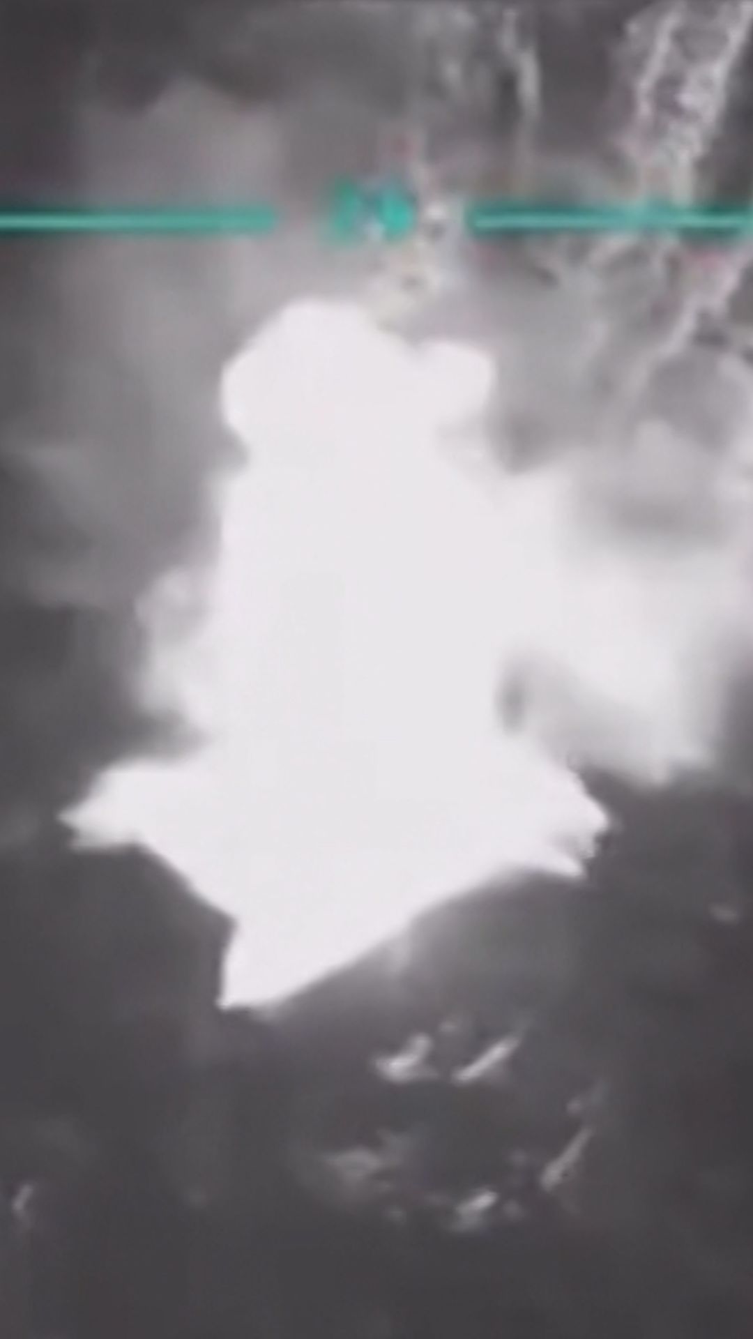 WH Confirms Boat Strike THUMB.jpg