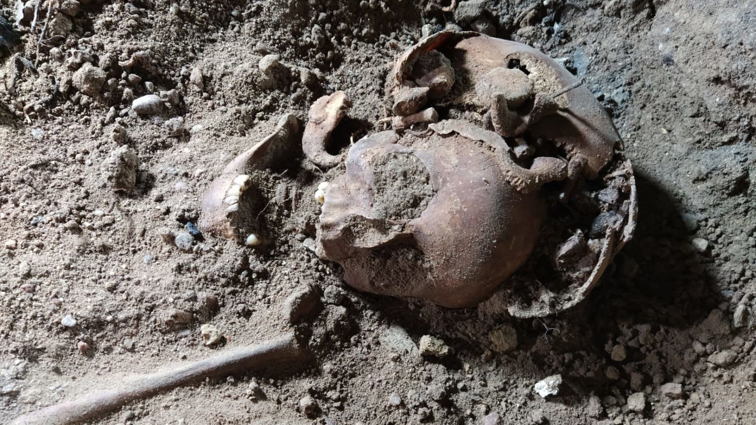 Excavations uncovered a total of five skeletons.