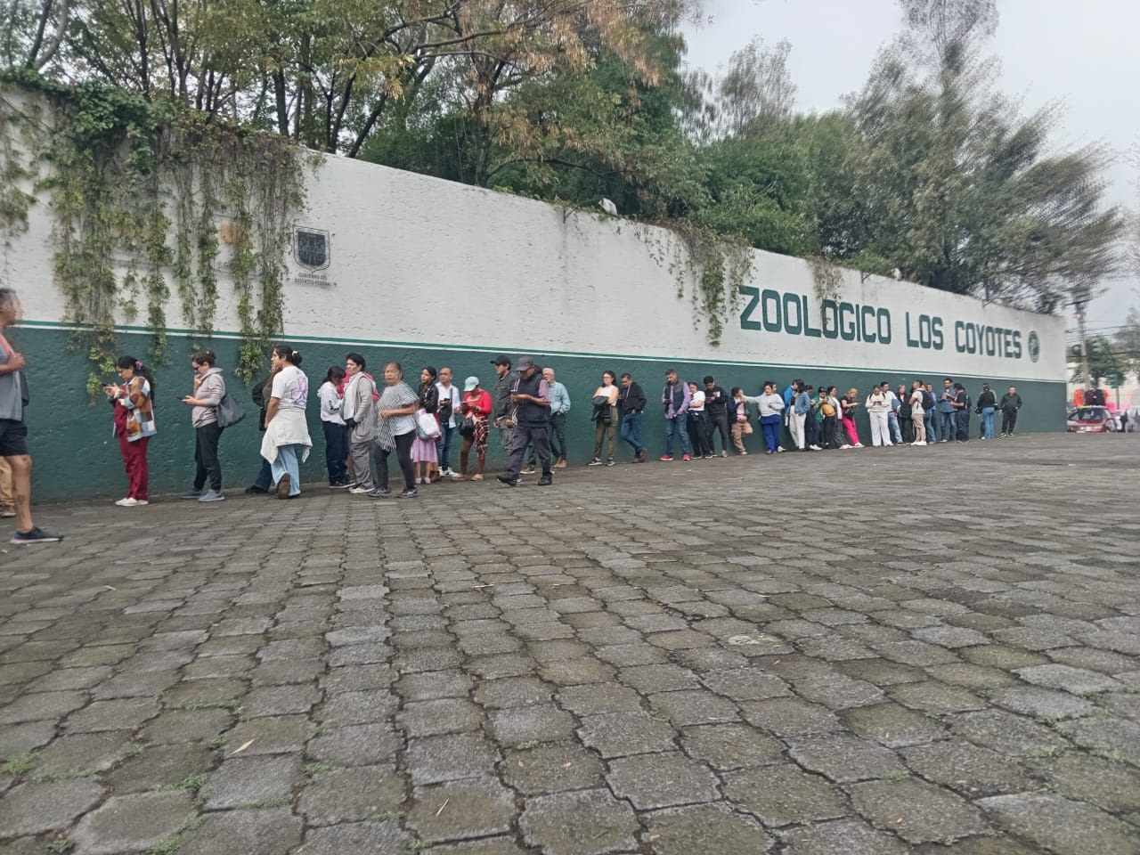 Una fila para votar en la alcaldía de Coyoacán, zonar sur de la Ciudad de México.