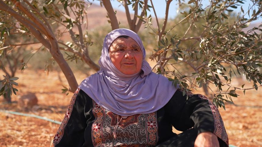 Umm Shukry has tended to her olive trees for 10 years. This olive harvest, she was prevented from accessing her land because of settler attacks.