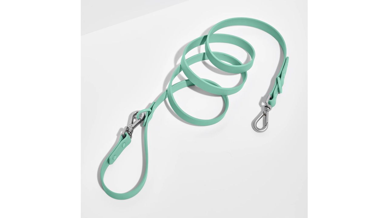 Wild One Leash product card cnnu.jpg