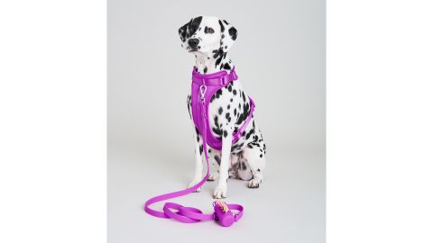 wild one orchid release harness lifestyle CNNU.jpg
