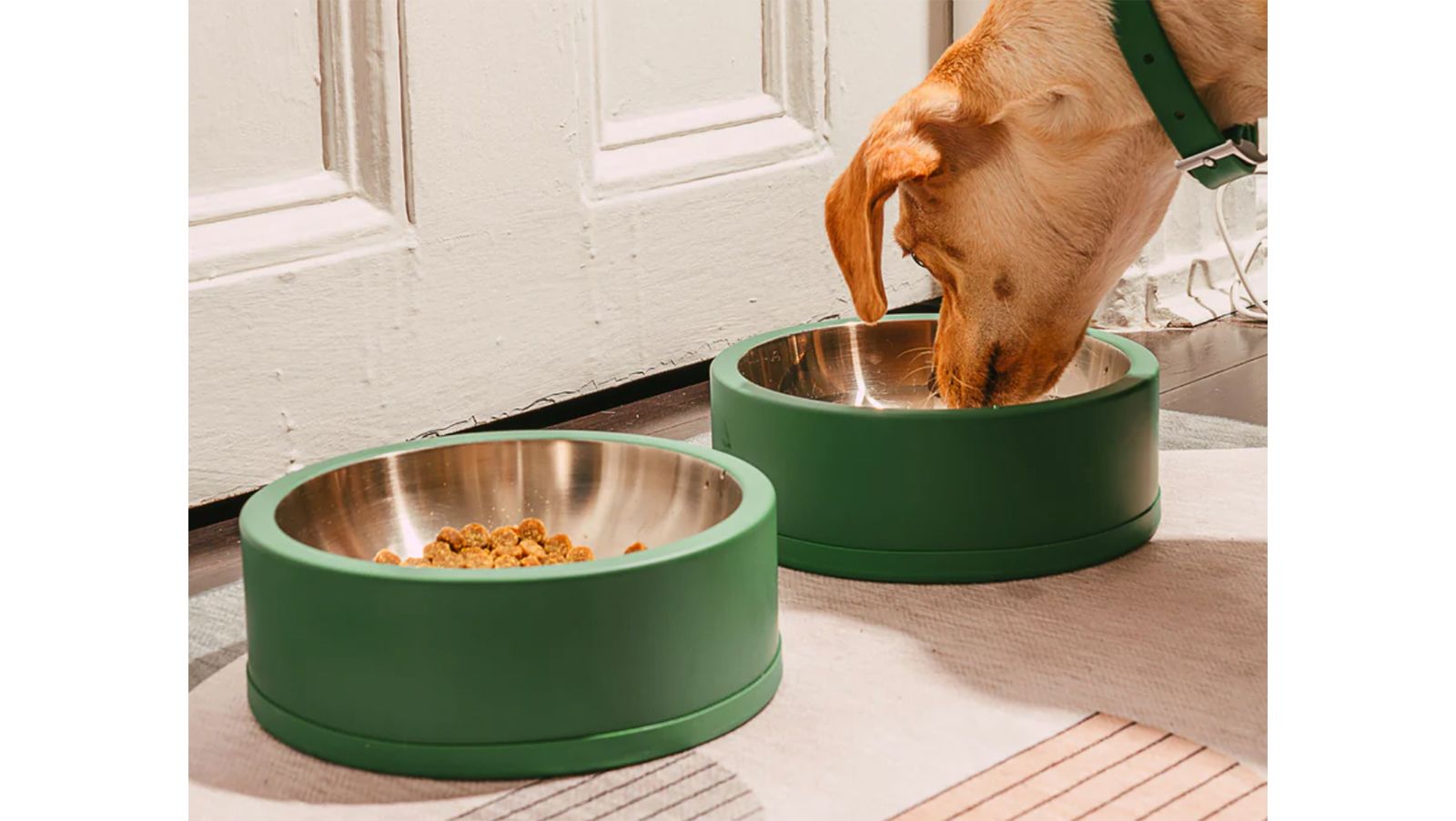 Small Cat Bowls Small Dog Bowls Teacup Pet Bowls Cute Pet Bowls Eat and  Drink Bowls Modern Pet Bowls Wood Feeding Station Dogs 