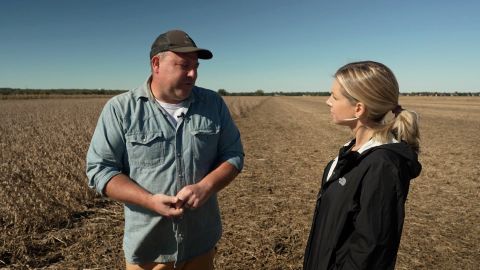 wild soybeans.jpg