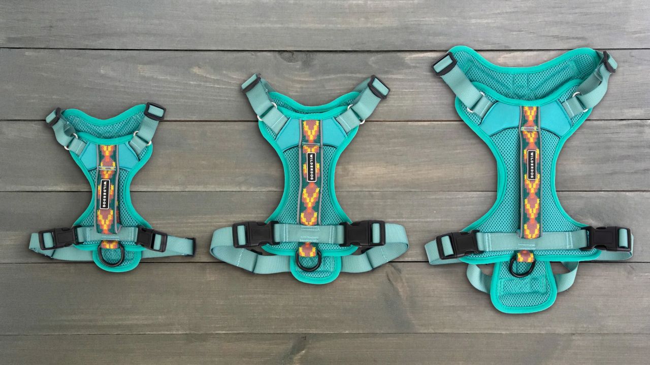 Wilderdog Harness cnnu.jpg