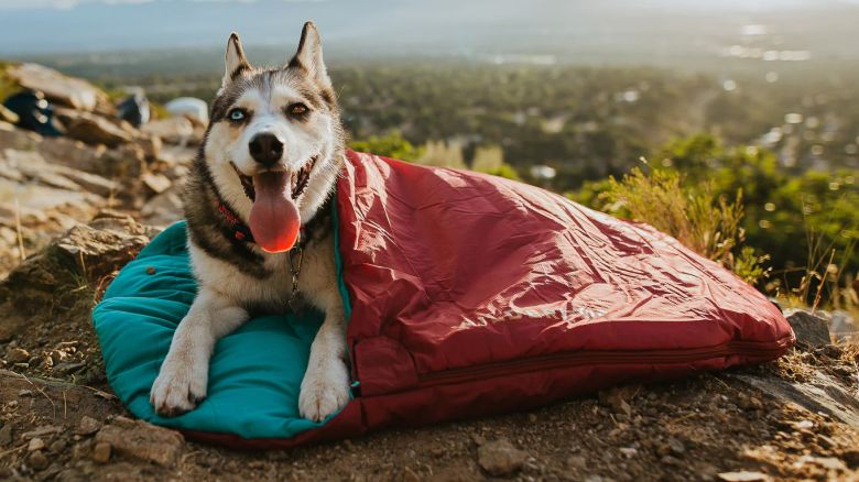 wilderdog sleeping bag dog camping cnnu.jpg