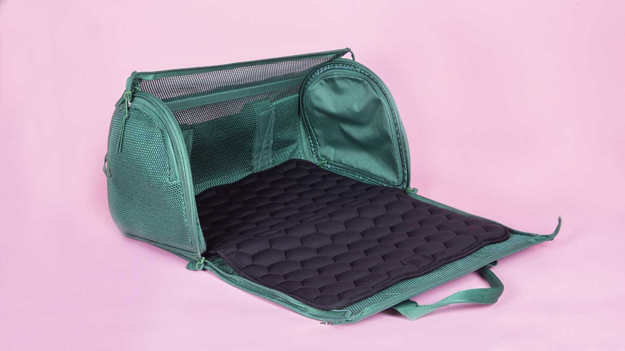 Luxury Designer Pet Cat Dog Carrier Handbag Travel Portable Leather 