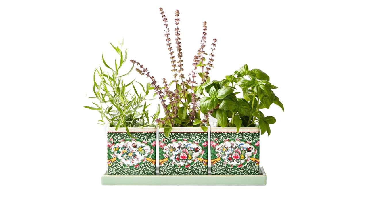 Williams Sonoma Famille Rose Herb Planter With Tray.jpg