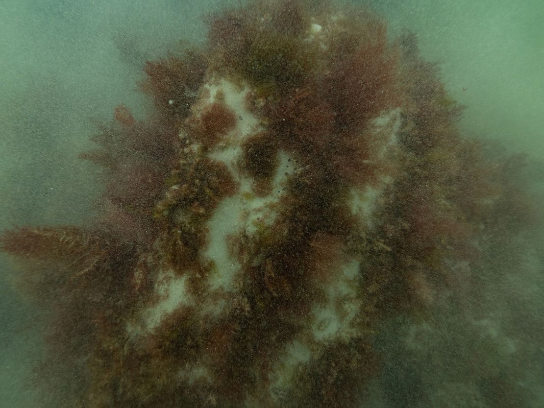 The expedition team found part of the windlass, the machine used to reel in the anchor, protruding from the seabed.