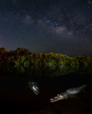The Young Mangrove Photographer of the Year title went to Nicholas Hess for this image of two American crocodiles in a mangrove forest in Florida’s Everglades, underneath the stars.