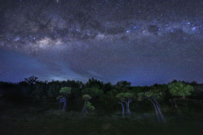 Gwi Bin Lim won the landscape “on the ground” category for an image of mangrove trees underneath the Milky Way in Indonesia.