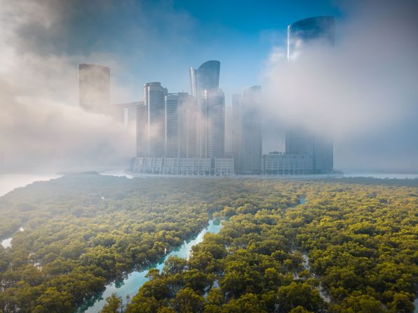 Ahmed Badwan’s photograph of a mangrove forest with the backdrop of Dubai, United Arab Emirates, won the landscape “from the air” category.