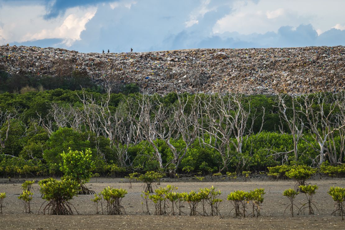A mountain of trash towers behind a mangrove forest in Bali, Indonesia.