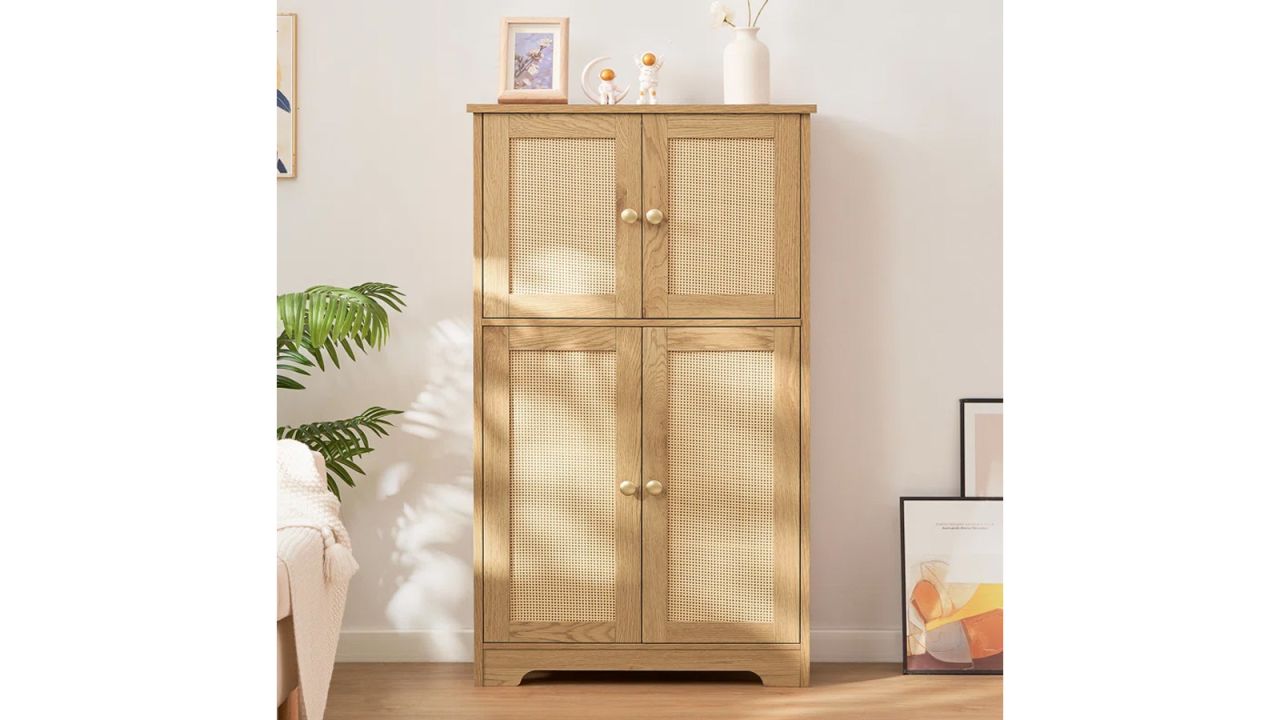 Winston Porter Jussiah Storage Cabinet.jpg