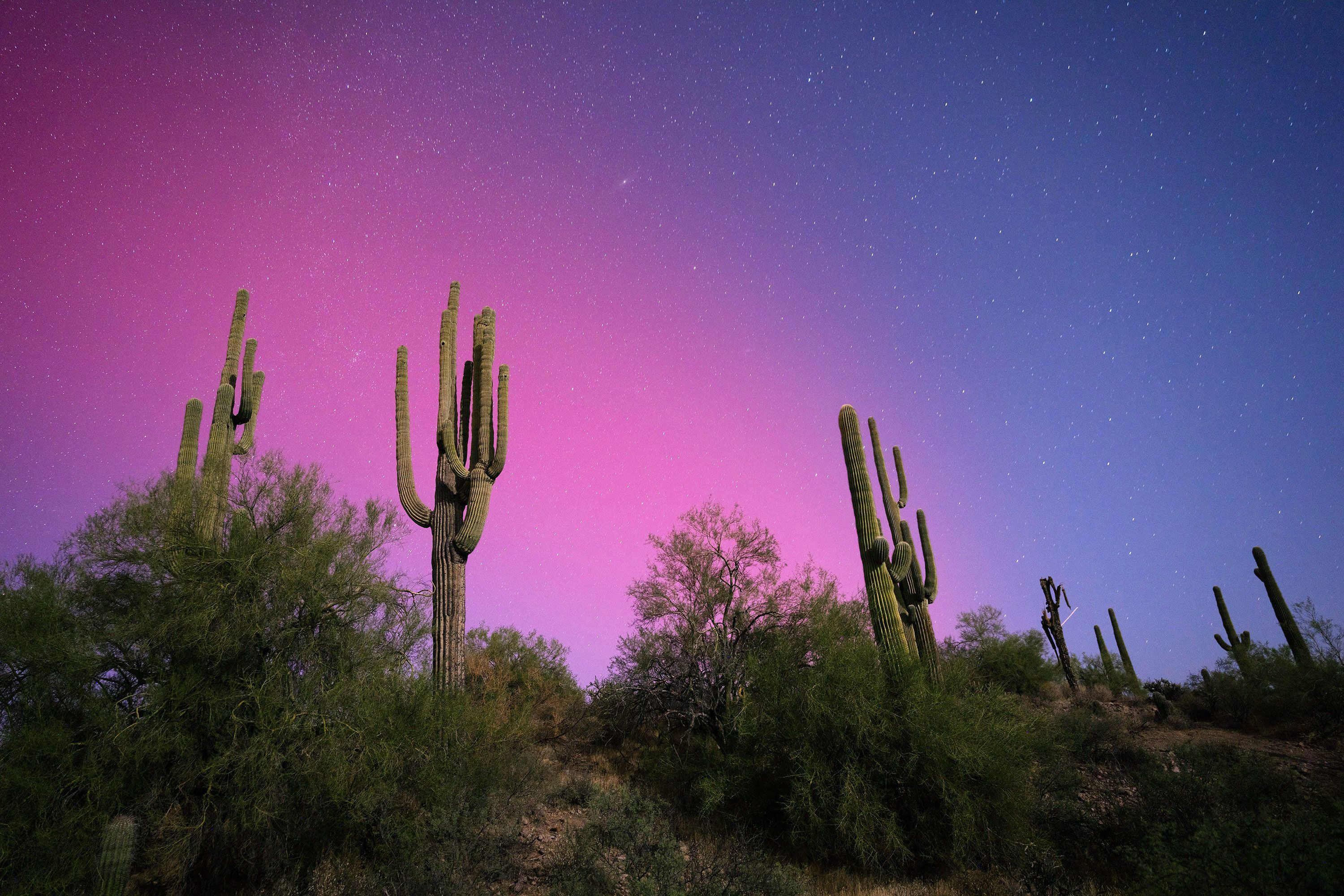 The aurora borealis illuminates the sky over Arizona’s Tonto National Forest on Thursday, October 10.