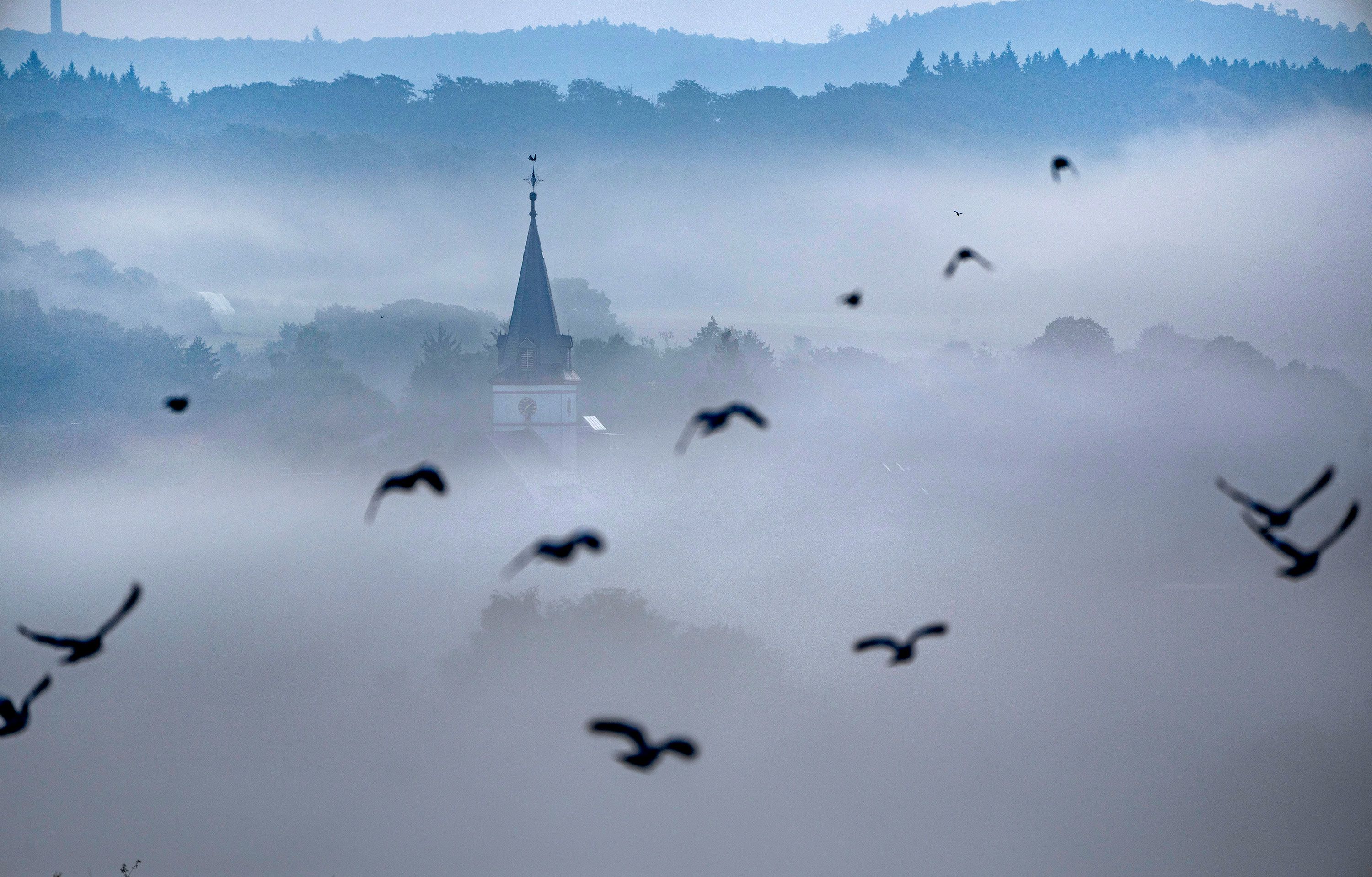 Birds fly near a church in Wehrheim, Germany.