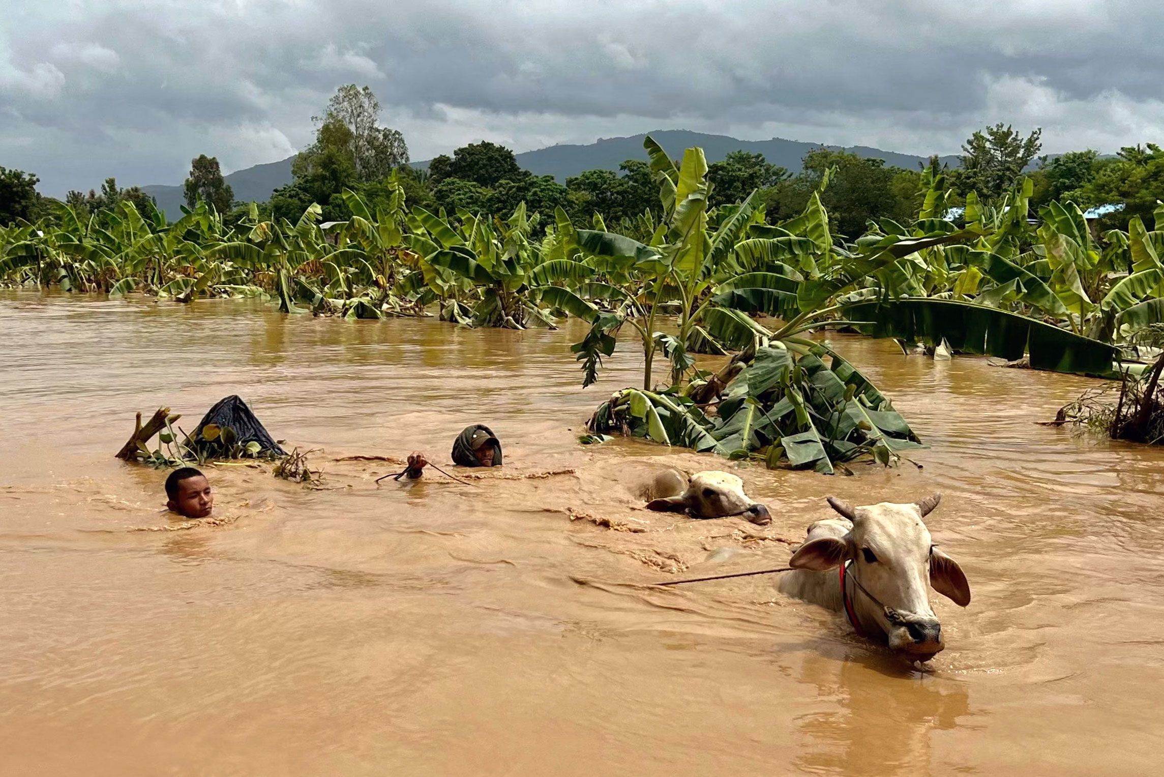 Flooding in Thailand