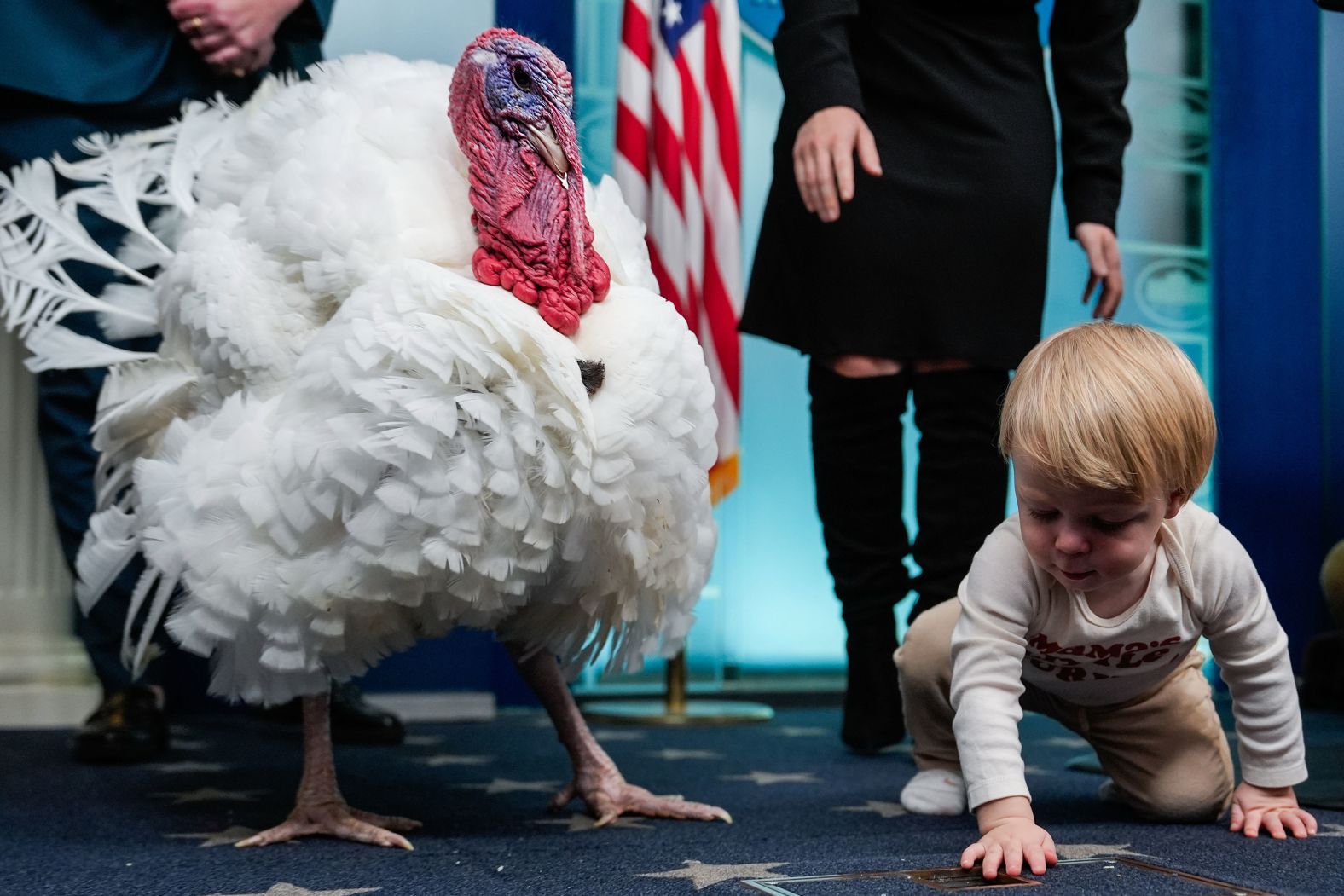 Nicholas, the son of White House press secretary Karoline Leavitt, crouches next to Waddle the turkey inside the White House press briefing room in Washington, DC, on Tuesday, November 25. Waddle was one of the two turkeys<a  href="/mt/?noimg=&dark=on&url=https%3a%2f%2fwww.cnn.com%2f2025%2f11%2f25%2fpolitics%2fwhite-house-turkey-pardon-trump">pardoned by President Donald Trump</a> as part of an annual Thanksgiving tradition.