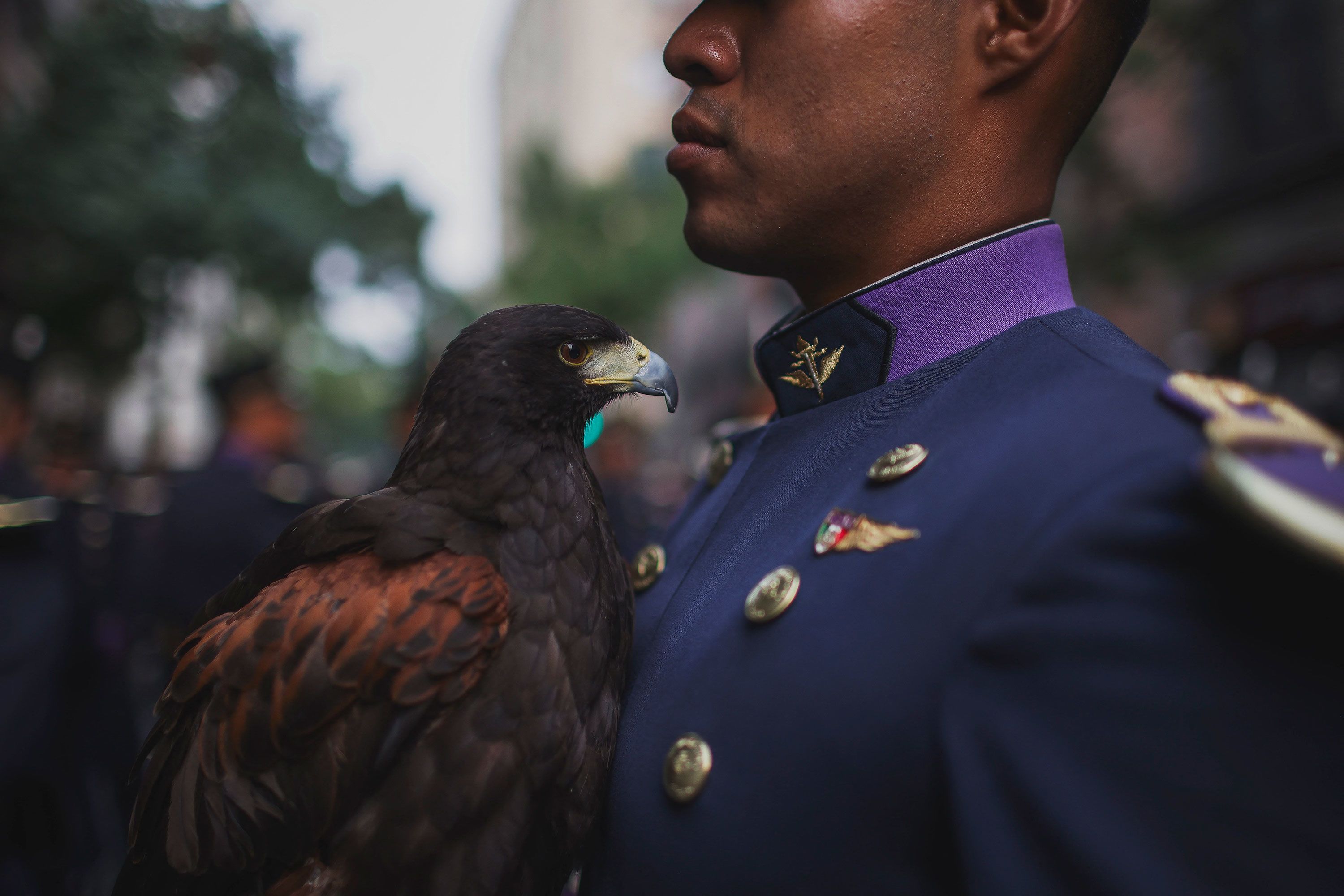 Military Parade in Mexico City