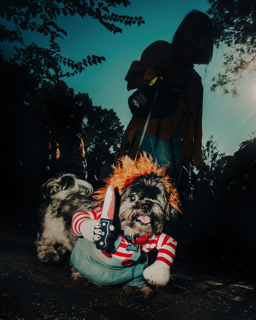 A dog is dressed up as Chucky from “Child’s Play” during the annual Tompkins Square Halloween Dog Parade in New York on Saturday, October 19.