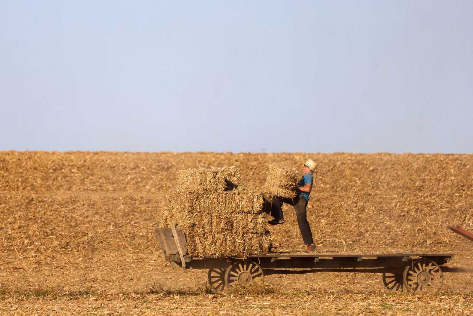 A young man stacks straw bales on a trailer in Strasburg, Pennsylvania, on Saturday, October 19.