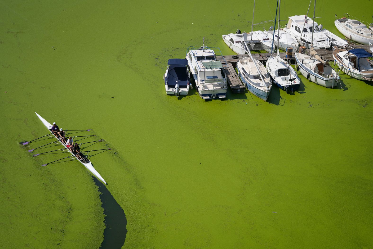 Boys row on the Sava river in Belgrade, Serbia, on Sunday, September 1.