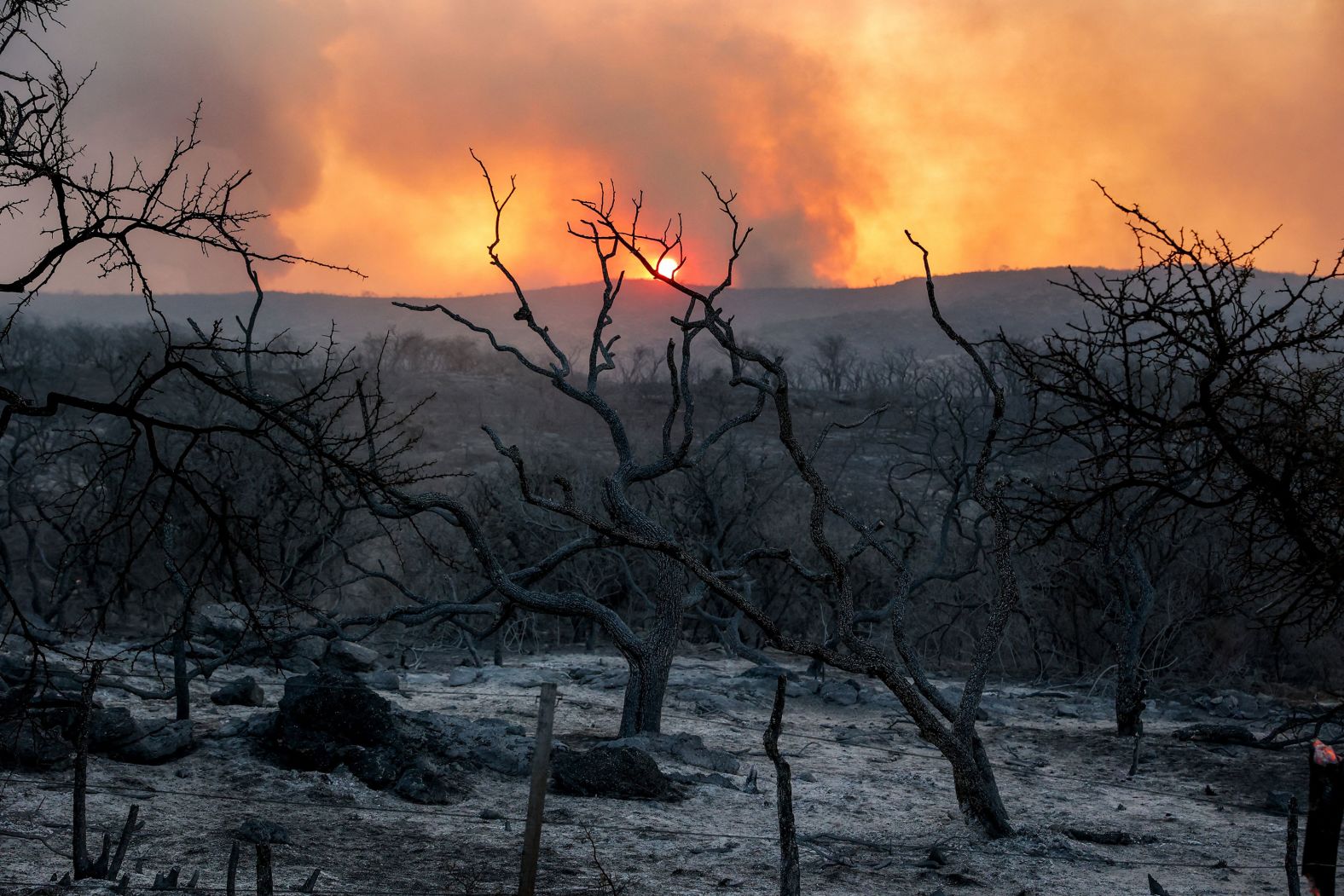 Burnt trees are seen during a forest fire in Dolores, Argentina, on Friday, September 20.