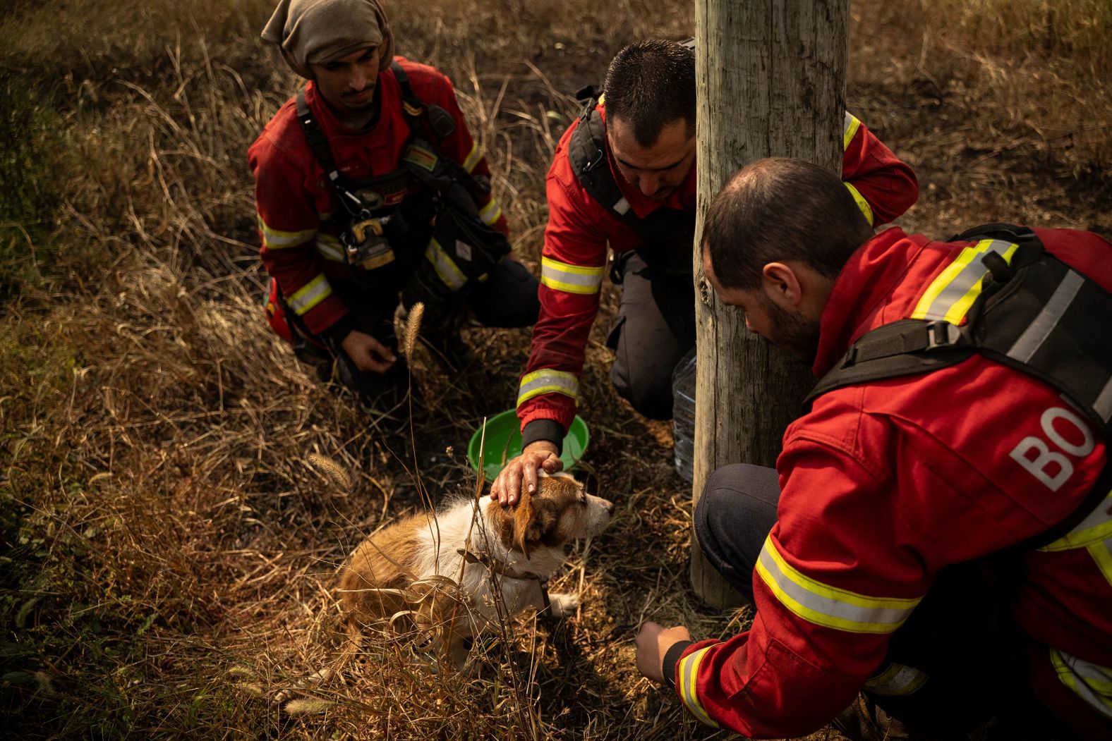 Firefighters give water to a dog that was rescued during a wildfire in the Portuguese village of Arrancada on Tuesday, September 17. <a >Wildfires across Portugal</a> forced authorities to close highways and roads, disrupting travel throughout?the country, the Interior Ministry said Tuesday.