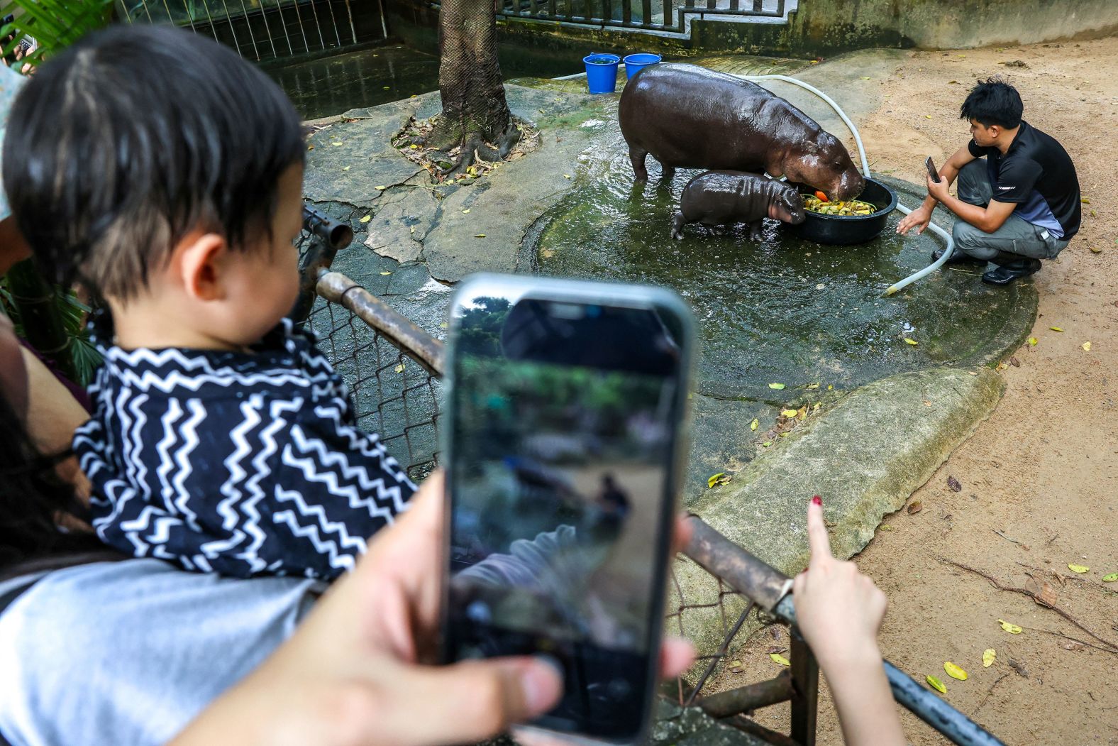 Atthapon Nundee takes pictures of a 2-month-old pygmy hippo named Moo Deng?at the Khao Kheow Open Zoo in Thailand’s Chonburi province on Monday, September 16. With her pinkish cheeks and natural charisma, <a >Moo Deng is making millions of fans online and drawing bumper crowds to the zoo</a>.