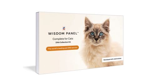 Wisdom Panel Complete Cat DNA Test product card CNNU.jpg
