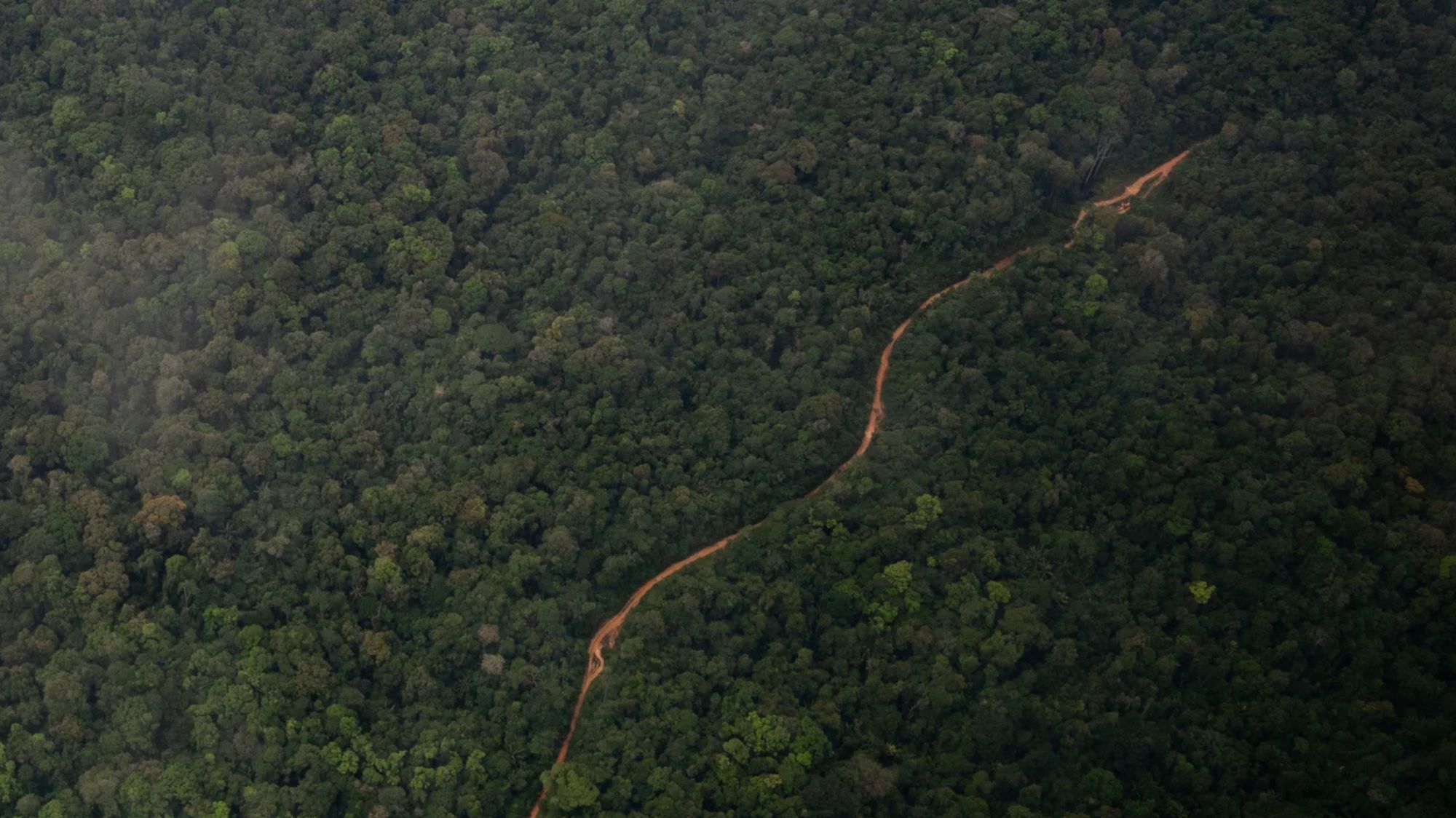 Vista aérea de una carretera que atraviesa la selva de Guyana el 9 de marzo de 2025.