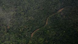 An aerial view of a road cutting through the Guyana jungle on March 9, 2025.