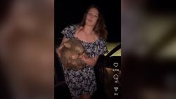 wombat-jpg.jpg