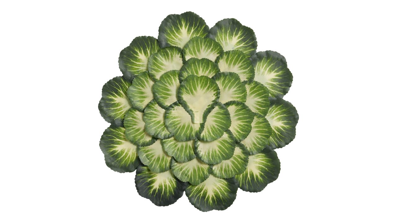 World Market Green Cabbage Layered Placemat cnnu.jpg