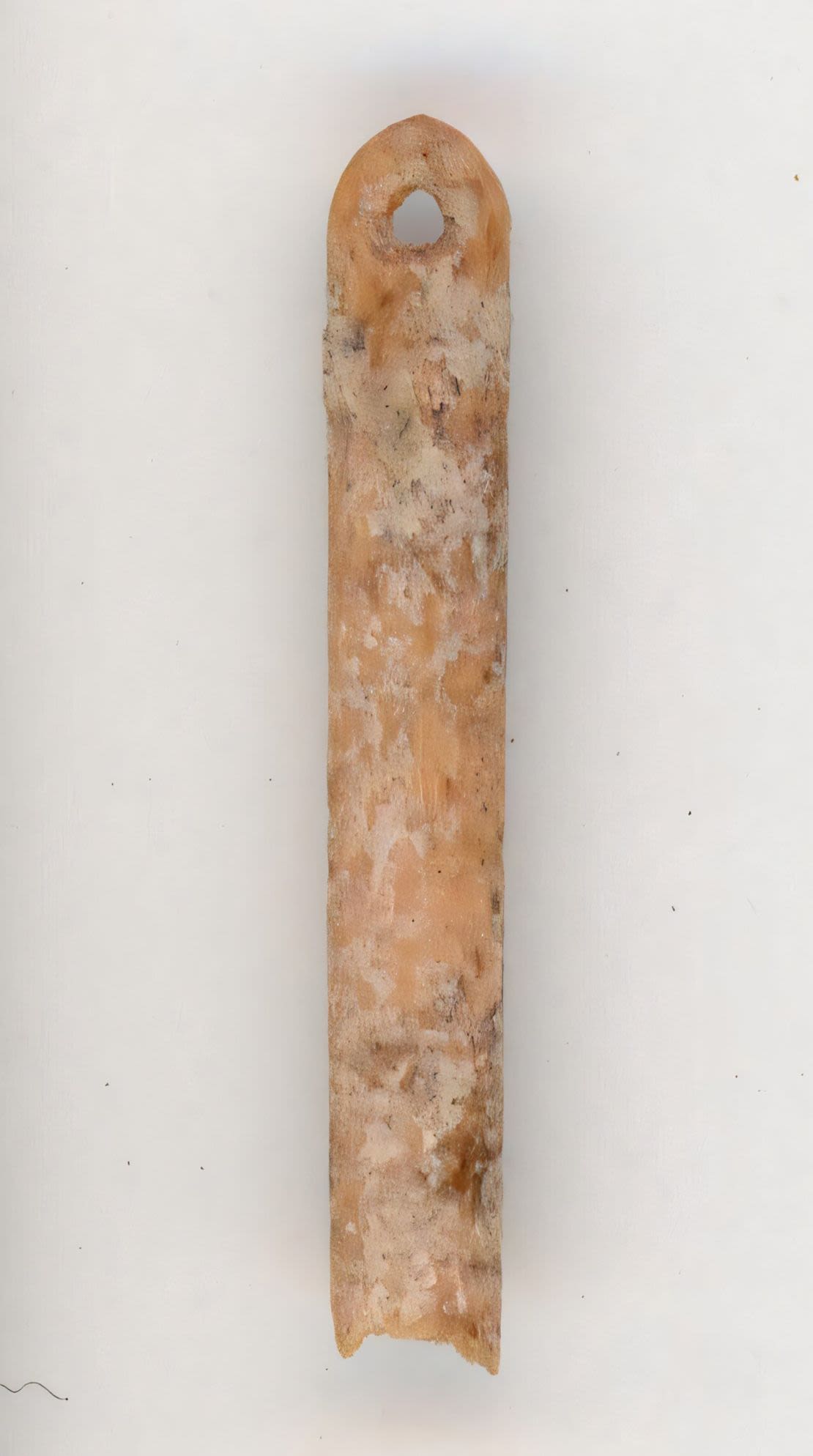 La aguja con ojo que aparece arriba, hecha con el hueso de un zorro rojo, se encontró en el yacimiento arqueológico de La Prele, en el condado de Converse, en Wyoming.