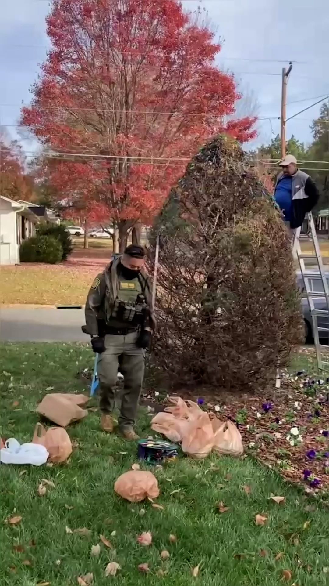 xmas tree clean thumb.jpg