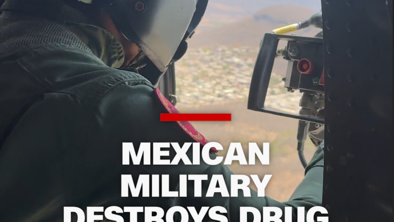 https://media.cnn.com/api/v1/images/stellar/prod/yeungmexicolab-thumb-fonted.png?c=16x9&q=w_800,c_fill