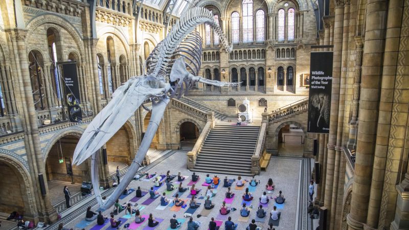 Вижте всички теми Връзката е копирана Следвайте Вечерята със самурай