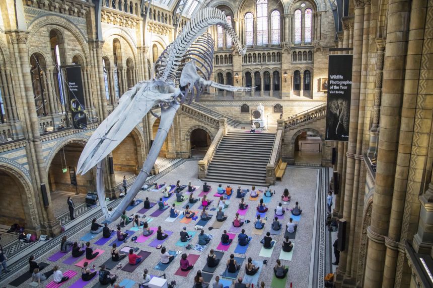 It's not all parties. The Natural History Museum in London offers yoga classes and gong baths.