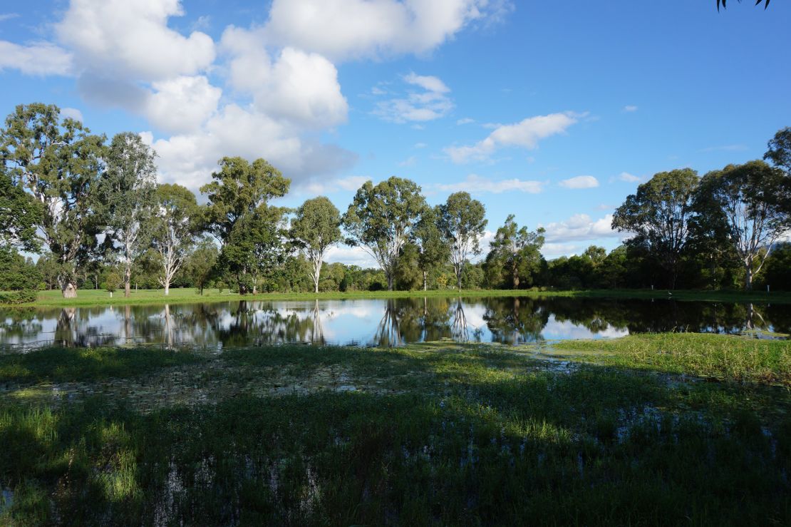 The Yowies are said to roam forest areas around Kilcoy.