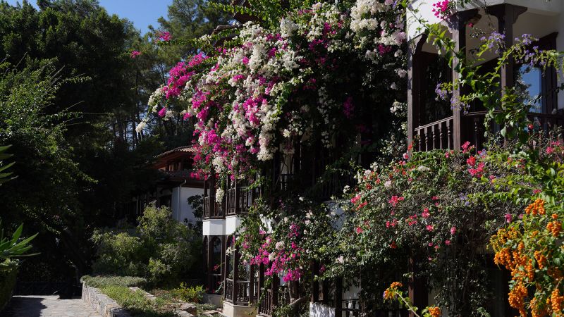 Вижте всички теми Връзката е копирана Следвайте   Тази поредица