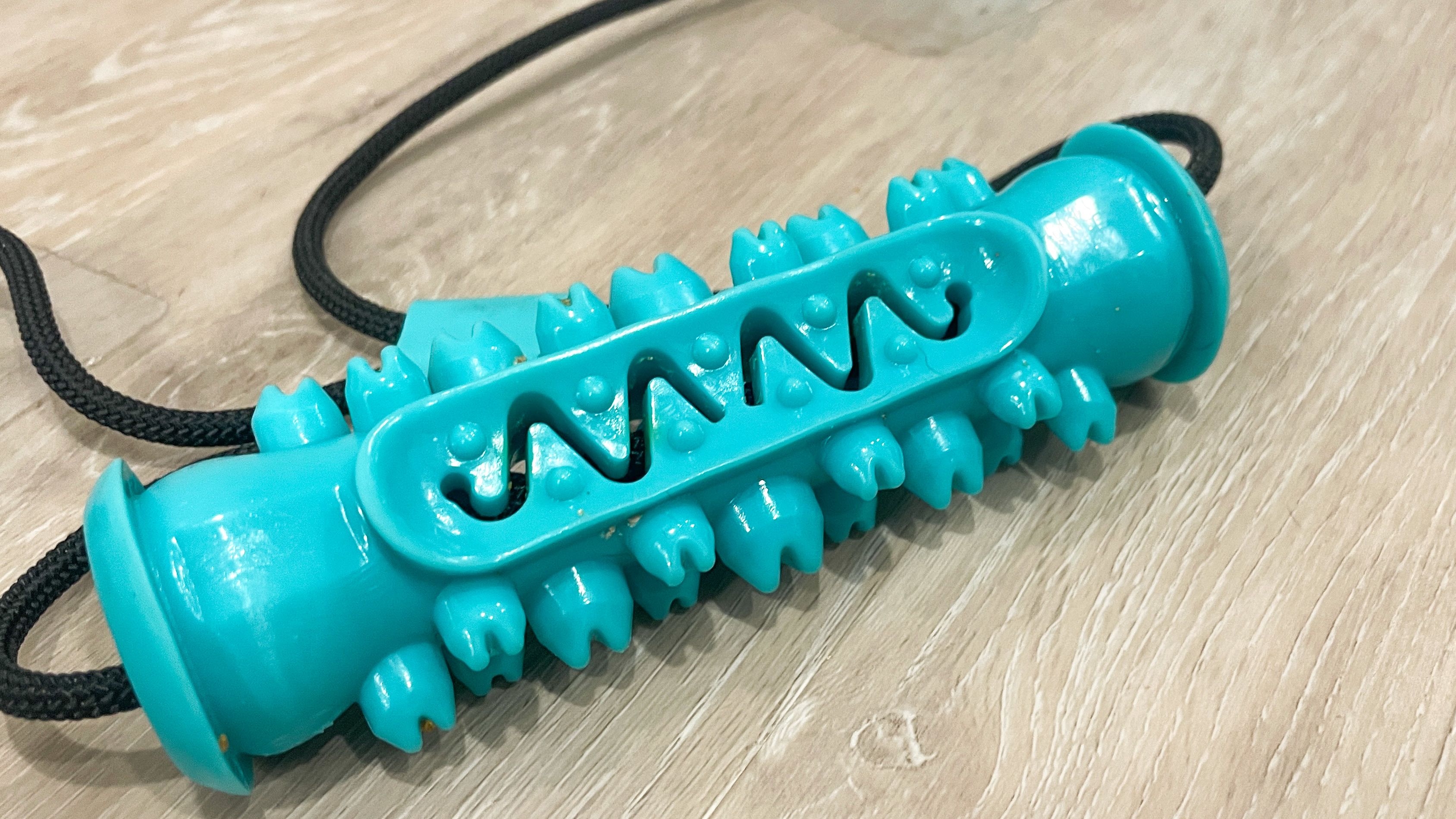 https://media.cnn.com/api/v1/images/stellar/prod/yudian-suction-cup-dog-toy-cnnu-011.jpg?c=original