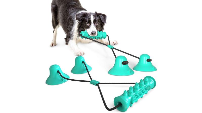 Dog toy hot sale suction cup