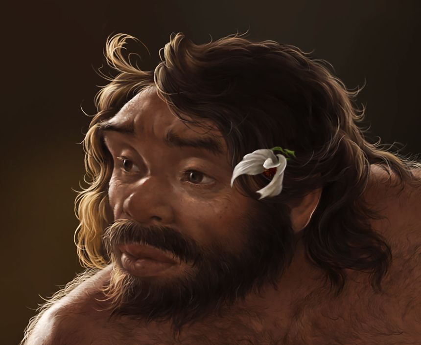 An illustration of what Yunxian man may have looked like based on the reconstruction of the Yunxian 2 skull.
