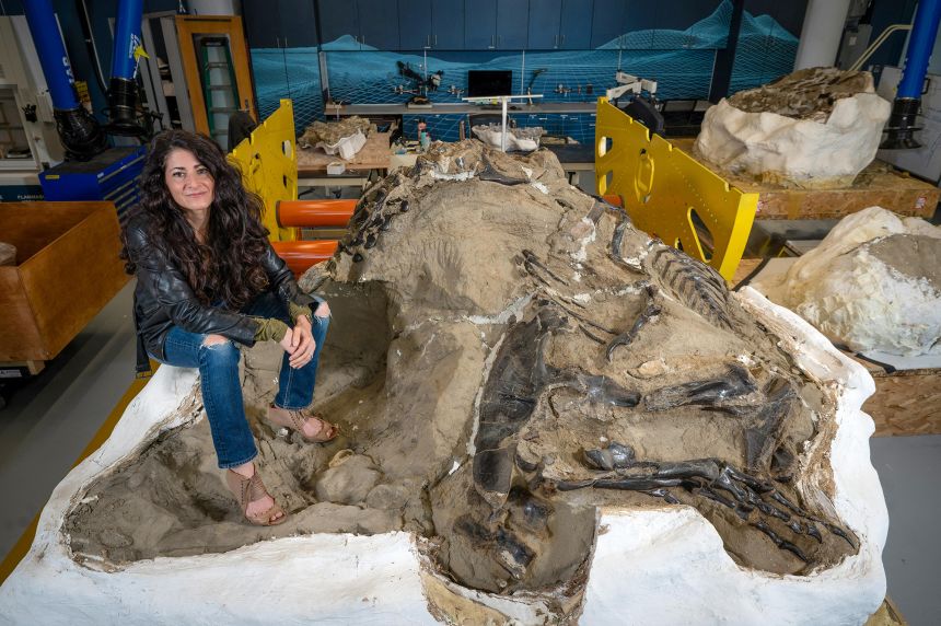 Lindsay Zanno, head of paleontology at the North Carolina Museum of Natural Sciences, poses with the famed dueling dinosaurs fossil.
