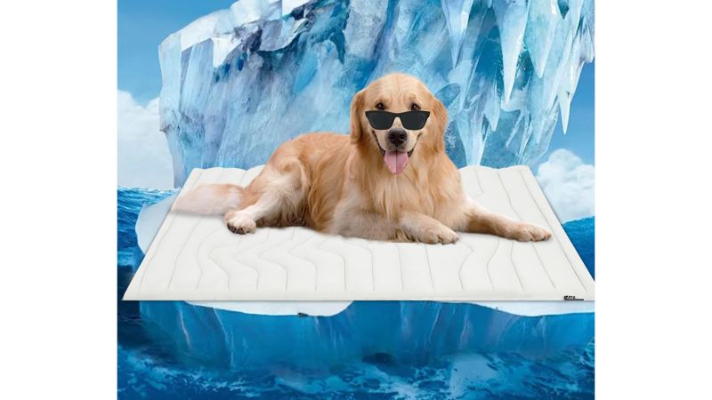 Best cooling mats and pads for dogs in 2024 tried and tested CNN Underscored