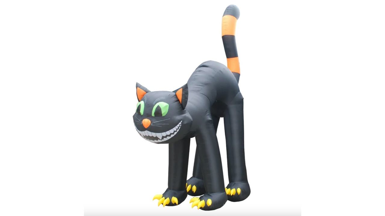 big-black-cat.jpg