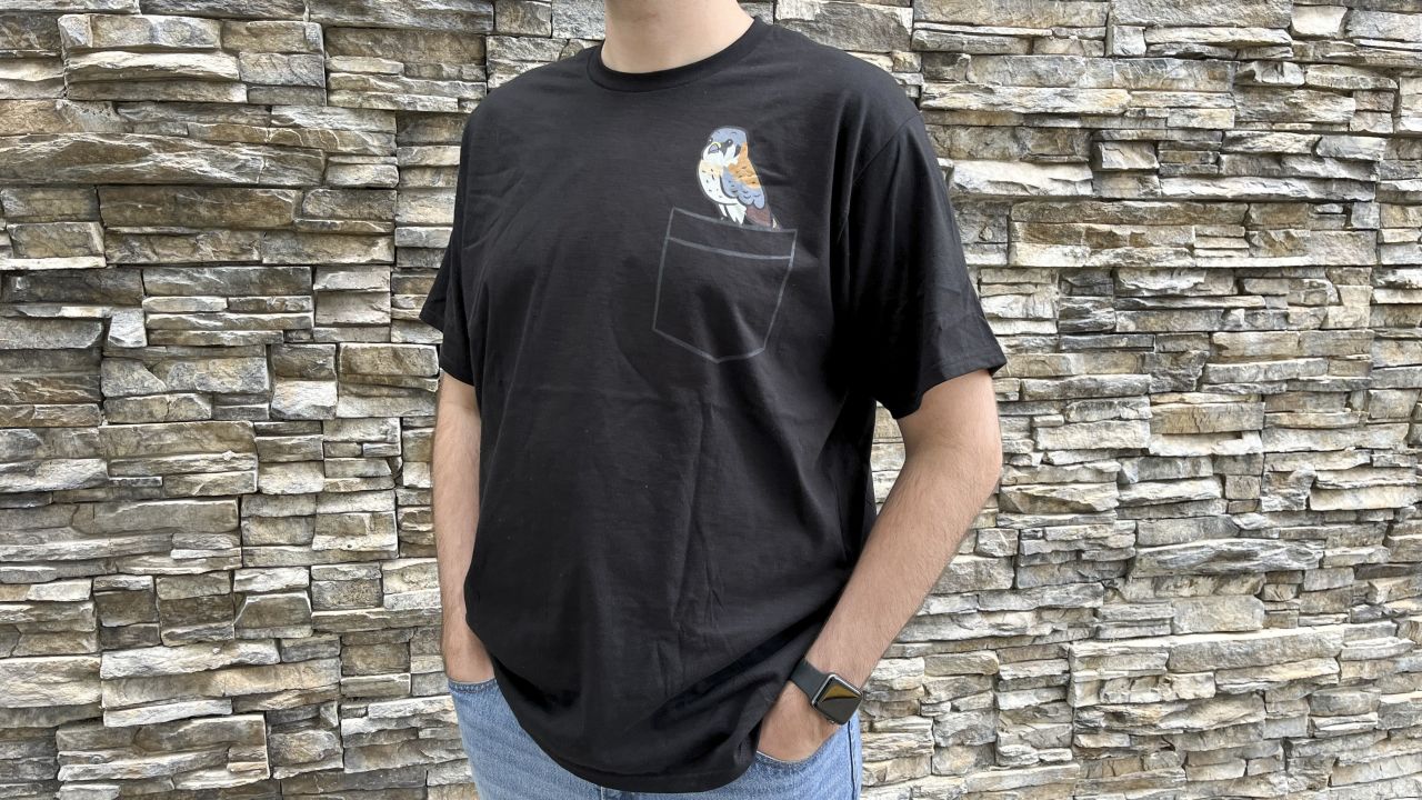 joe-kestrel-graphic-tee-cnnu.jpg